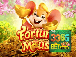 336 BET login — configurações de segurança e proteção de conta